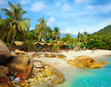bahamas beach tour
